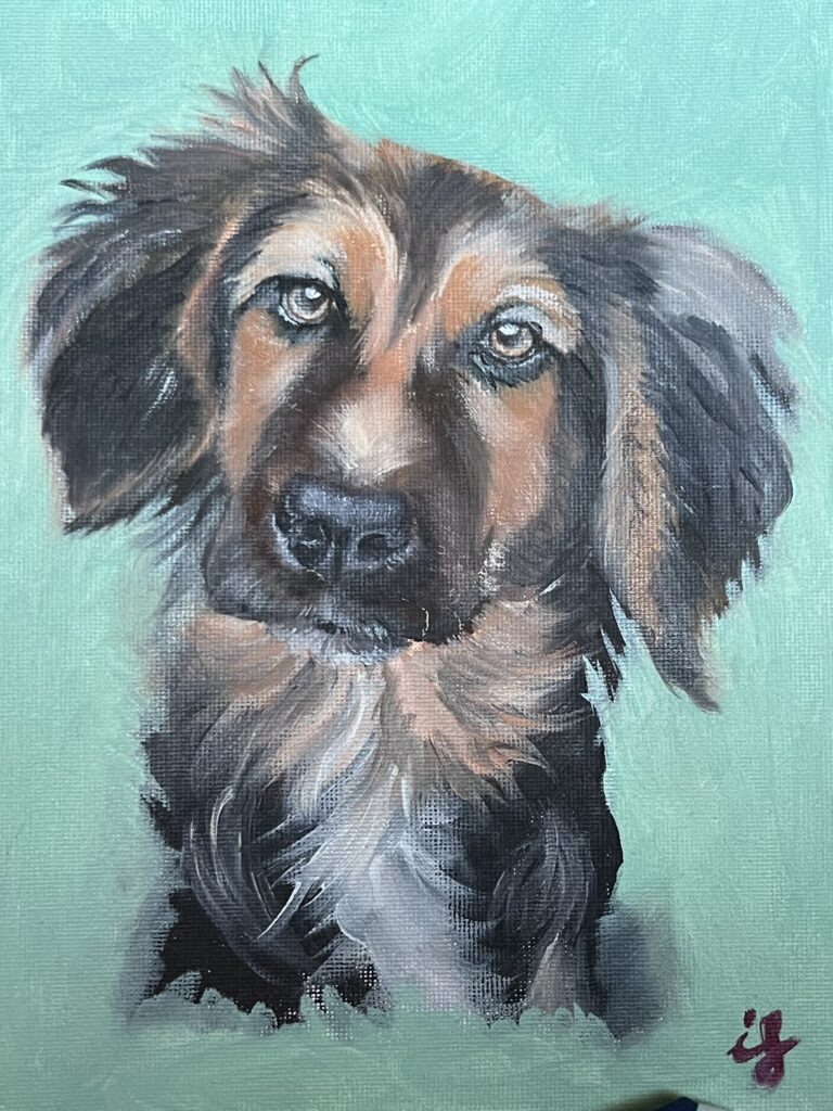 Pintura d'un gos de pèl llarg sobre fons verd clar, obra d'Ifgasa