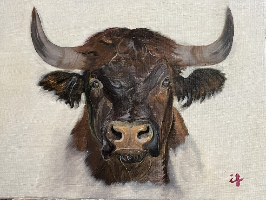 Pintura d'un cap de bou amb grans banyes sobre fons clar, obra d'Ifgasa